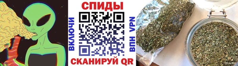 МЕГА как войти  Кимры  Бутират BDO 
