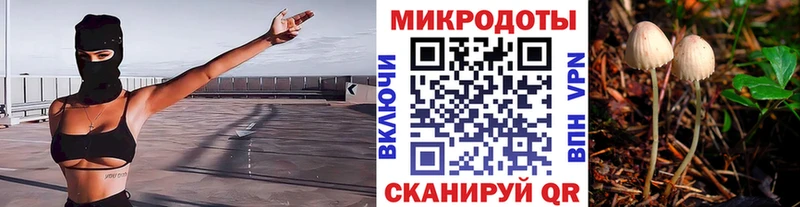 МЕГА вход  Кимры  Галлюциногенные грибы Cubensis 